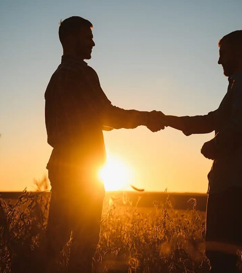 two-farmers-standing-in-a-field-examining-soybean-2024-02-15-19-59-46-utc
